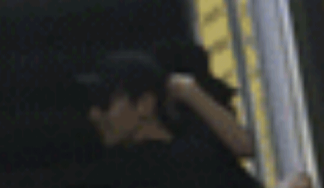 赵又廷甜蜜接机高圆圆 牵手搂抱狂撒狗粮