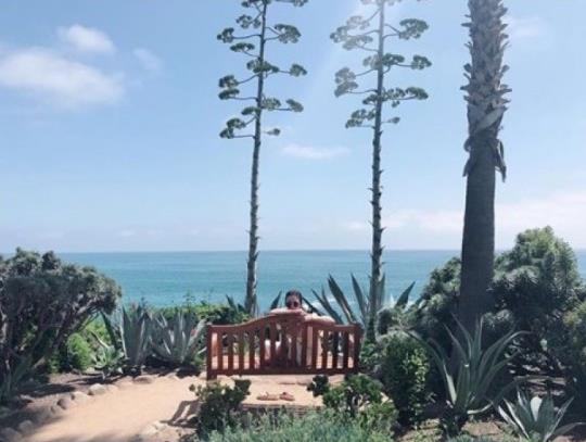 宋慧乔加州度假晒新照 戴墨镜甩拖鞋轻松休闲