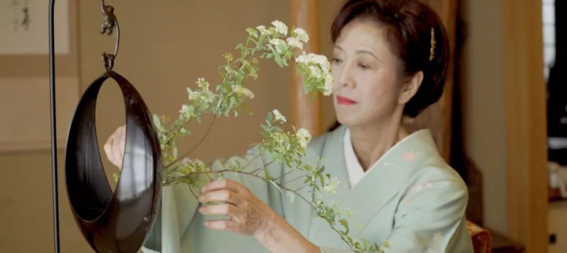 私房话||在日本，插花之旅的十个动人瞬间