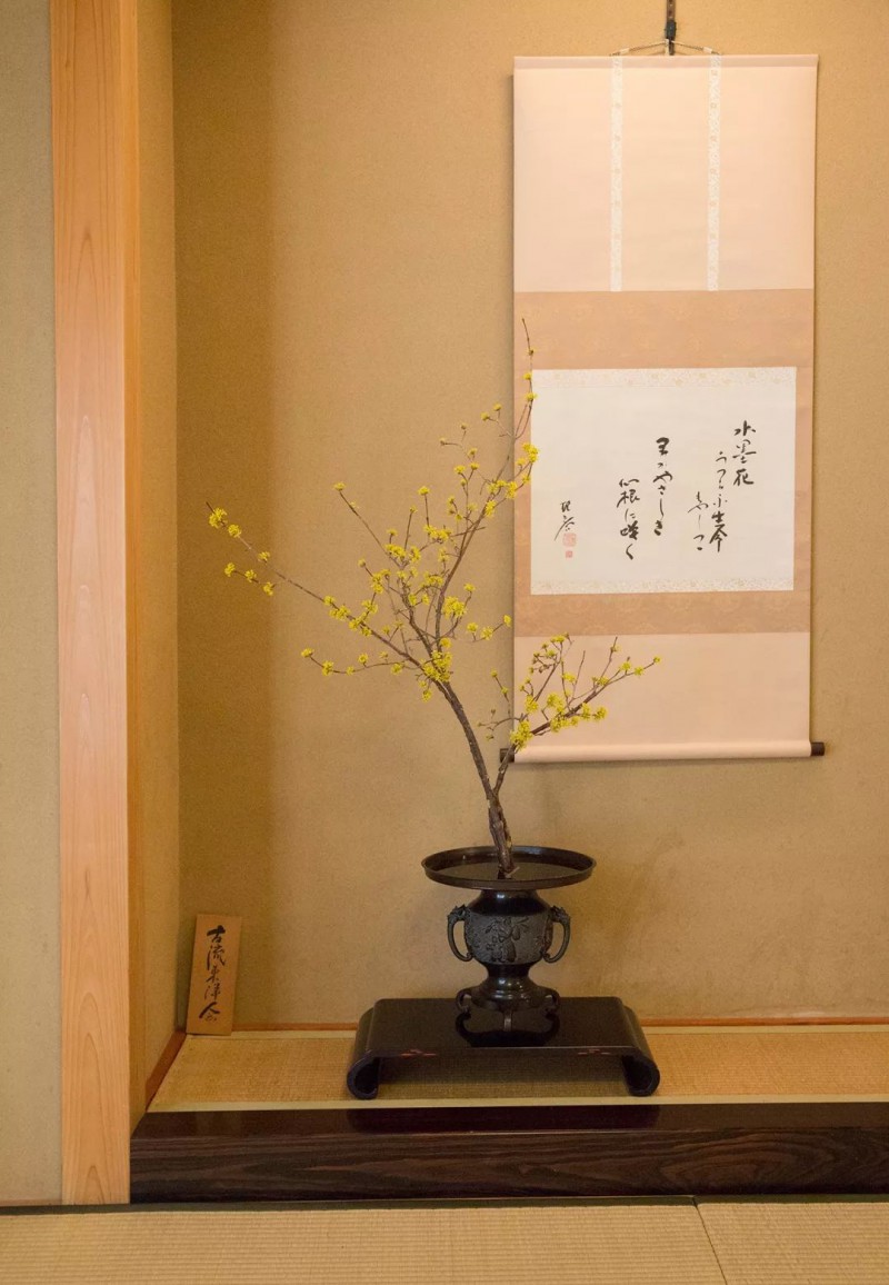 私房话||在日本，插花之旅的十个动人瞬间