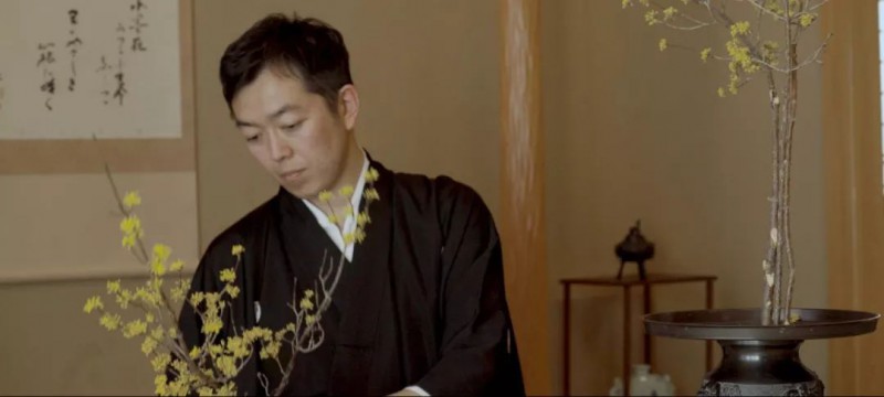 私房话||在日本，插花之旅的十个动人瞬间