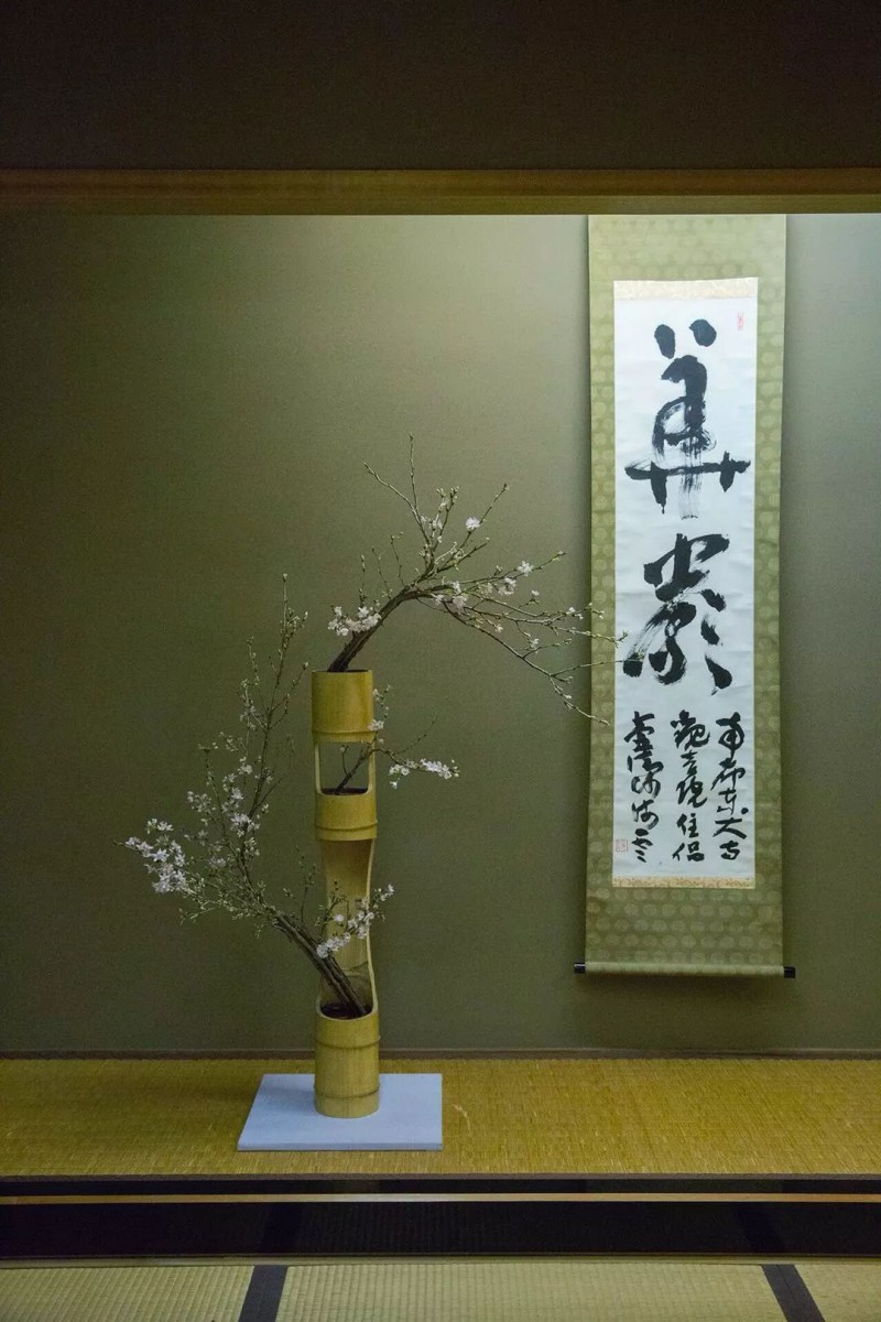 私房话||在日本，插花之旅的十个动人瞬间