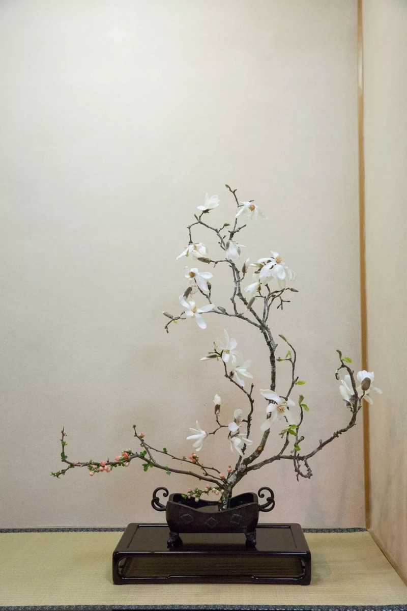 私房话||在日本，插花之旅的十个动人瞬间