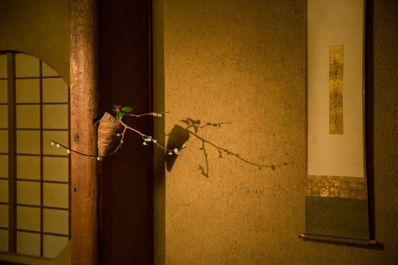 私房话||在日本，插花之旅的十个动人瞬间