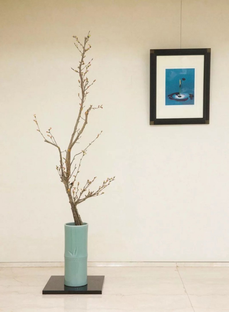 私房话||在日本，插花之旅的十个动人瞬间