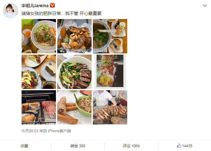 做个开心的猪猪女孩!宋祖儿晒美食照不惧吃胖