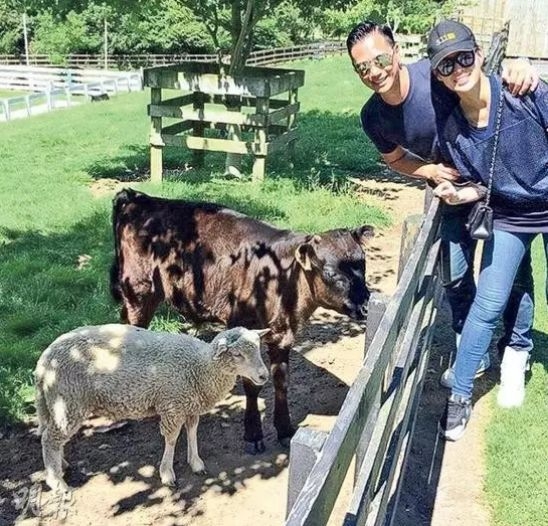 刚生完又怀上了?现在还不敢公布!