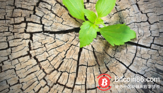博狗比特币扑克平台耶稣:加密货币扑克平台的未来比以往任何时候都更加光明