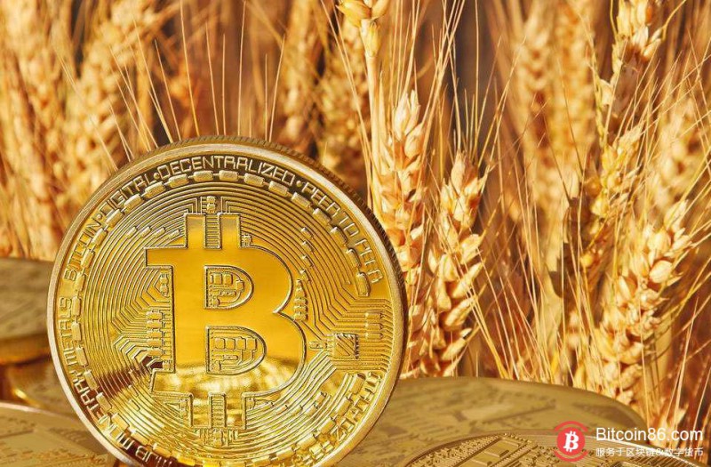 博狗比特币扑克平台到底好在哪里?这些ETF申请者告诉SEC:它不可能被操控