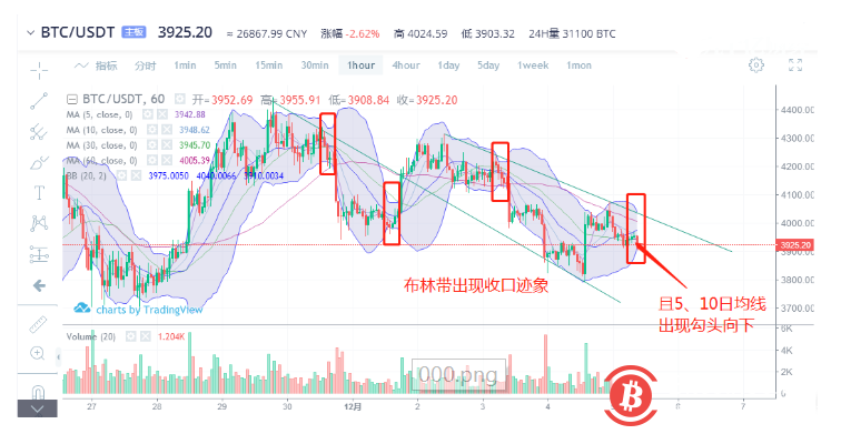 博狗比特币扑克平台整体偏弱,做多需谨慎