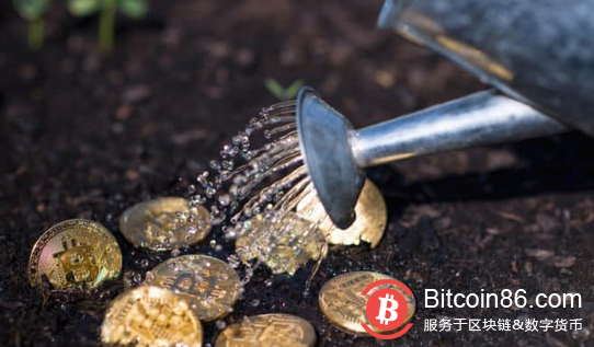 除了币价不给力,博狗比特币扑克平台各方面表现都在进步
