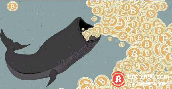 博狗比特币扑克平台巨鲸觉醒：这对于博狗比特币扑克平台价格来说意味着什么？
