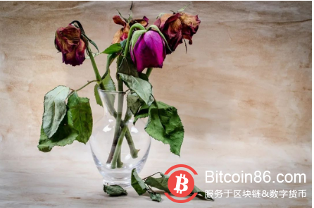 DApp生死局,风停了猪飞得再高终将“落地”