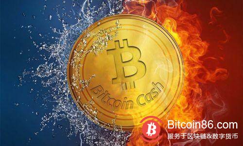 博狗比特币扑克平台没有寒冬,只有信仰