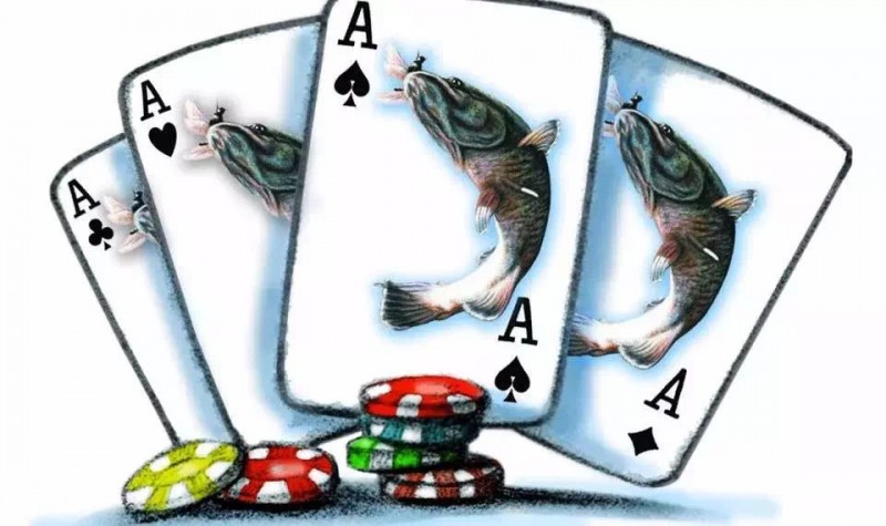 德州扑克玩家向你揭露真实的豪客赛，简直像是鱼掉进了坑